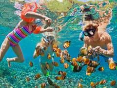 Snorkelling in tropical water